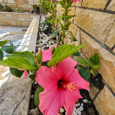 ゲストハウス Comfort